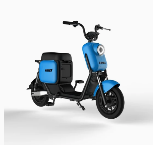 Powerful Two Wheel, Lithium Battery, Electric Scooter Electrical Motorcycle - COOLBABY