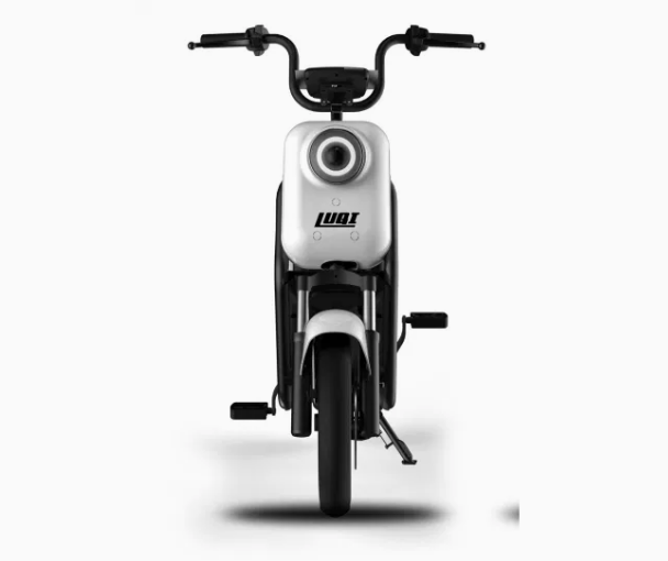 Powerful Two Wheel, Lithium Battery, Electric Scooter Electrical Motorcycle - COOLBABY