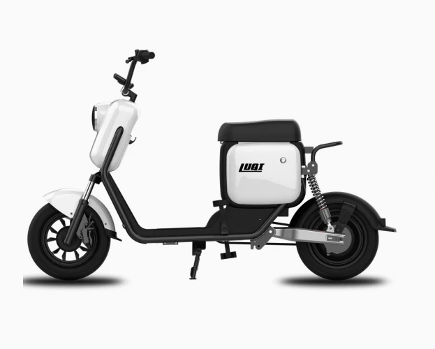 Powerful Two Wheel, Lithium Battery, Electric Scooter Electrical Motorcycle - COOLBABY