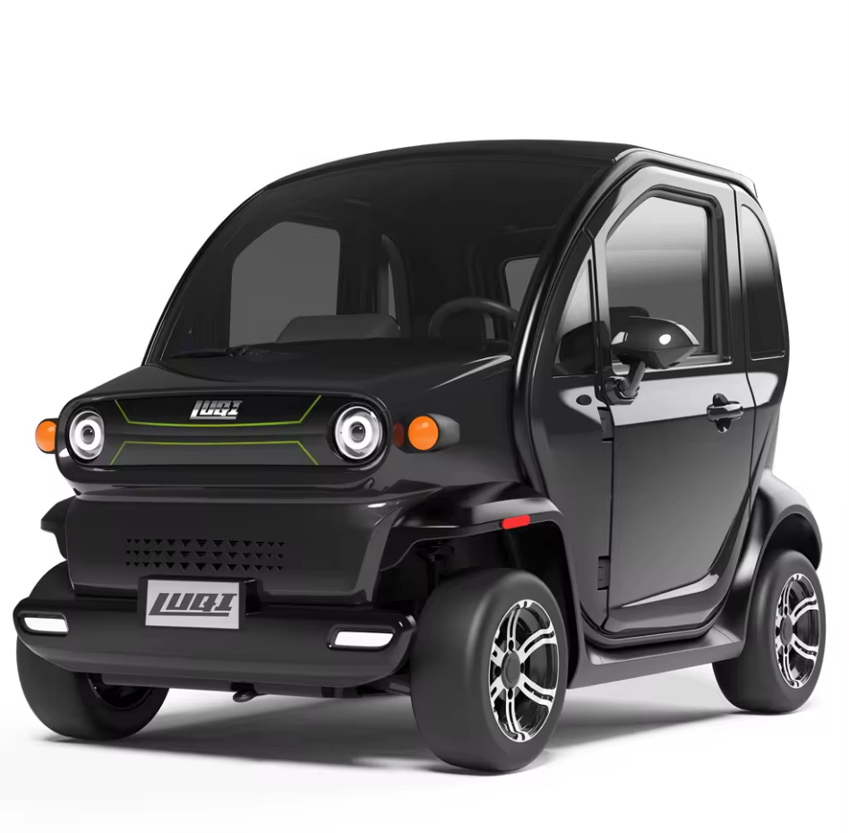 Adult Two Seats 4000w Street Legal Electric Micro Car Vehicle - COOLBABY