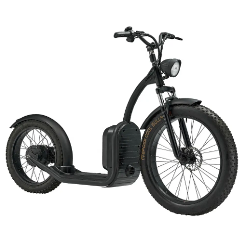 Lithium Battery Electric Adult Fat Tire 500W bike - COOLBABY