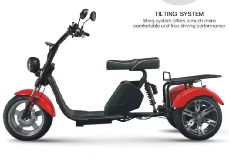 1000W Electric Scooter Adults, 3 Wheel Electric Scooter, Removable Battery - COOLBABY