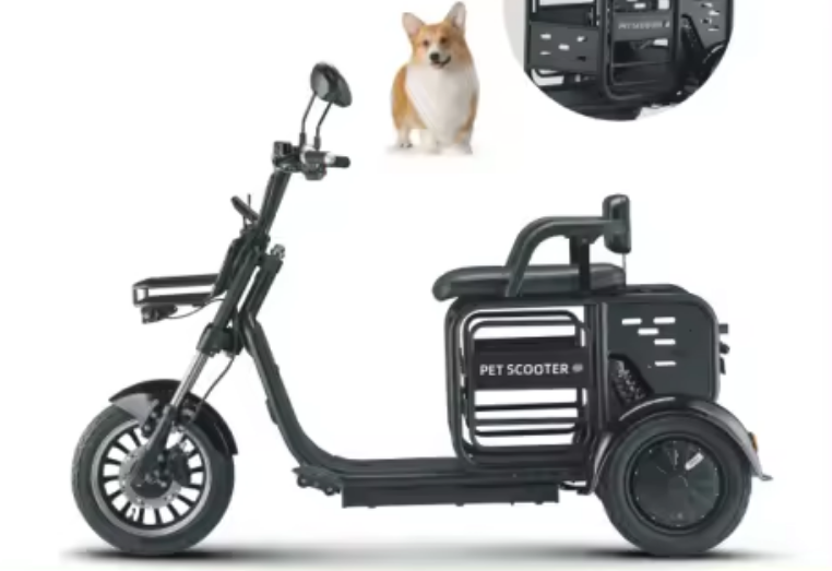 1000W Warehouse 3 Wheel Electric Scooter Removable Battery - COOLBABY