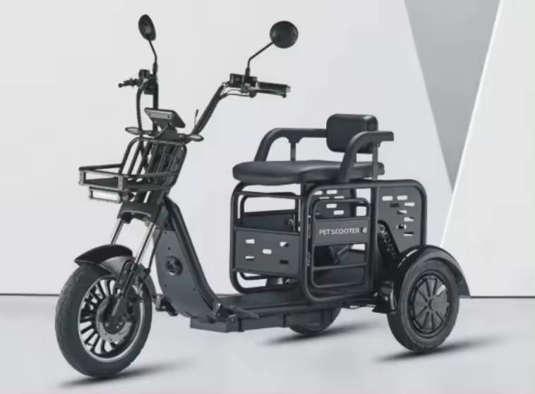 1000W Warehouse 3 Wheel Electric Scooter Removable Battery - COOLBABY