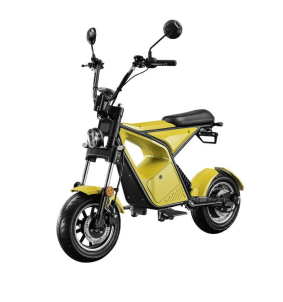 1000W Electric Scooter, Removable Lithium Battery - COOLBABY