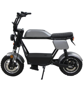 1000W Electric Motorcycles Scooter - COOLBABY