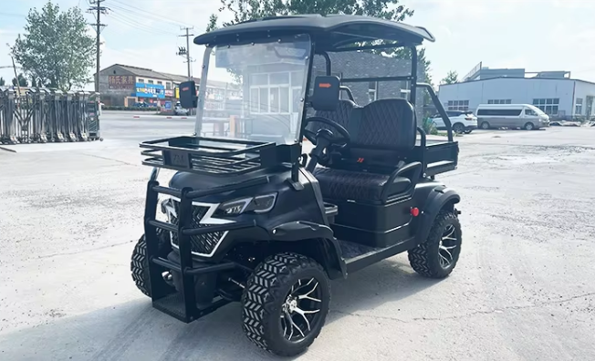 Electric Golf Cart, 2 Seater Golf Cart - 3500W - COOLBABY