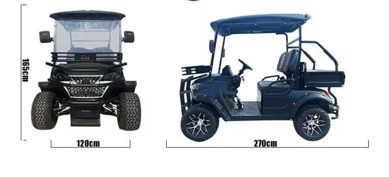 Electric Golf Cart, 2 Seater Golf Cart - 3500W - COOLBABY