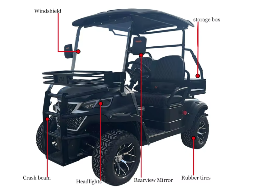 Electric Golf Cart, 2 Seater Golf Cart - 3500W - COOLBABY