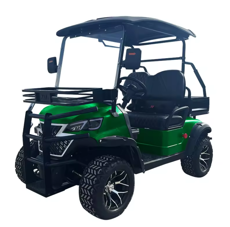 Electric Golf Cart, 2 Seater Golf Cart - 3500W - COOLBABY