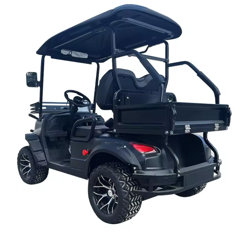 Electric Golf Cart, 2 Seater Golf Cart - 3500W - COOLBABY