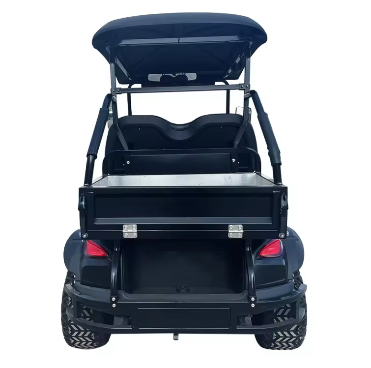 Electric Golf Cart, 2 Seater Golf Cart - 3500W - COOLBABY