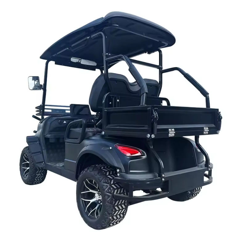 Electric Golf Cart, 2 Seater Golf Cart - 3500W - COOLBABY