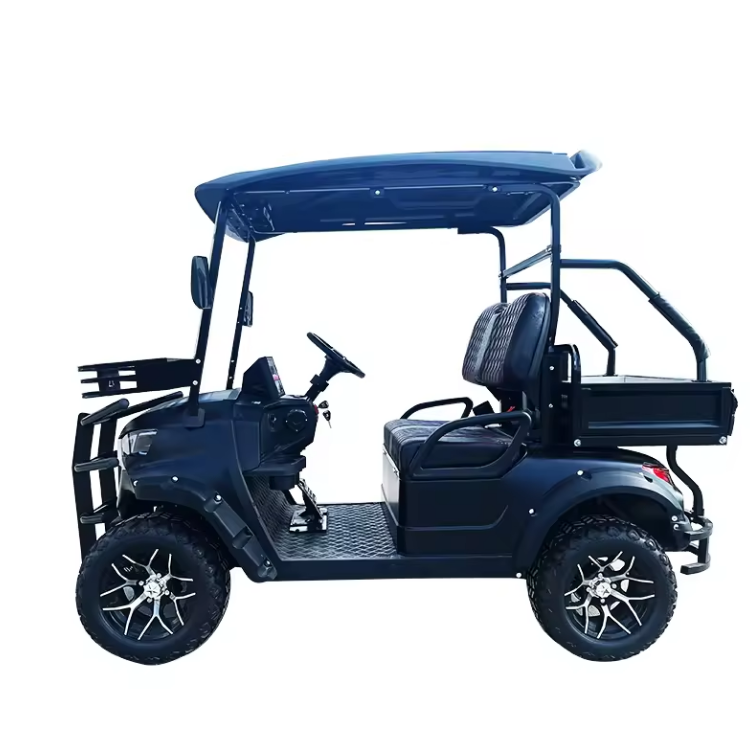 Electric Golf Cart, 2 Seater Golf Cart - 3500W - COOLBABY