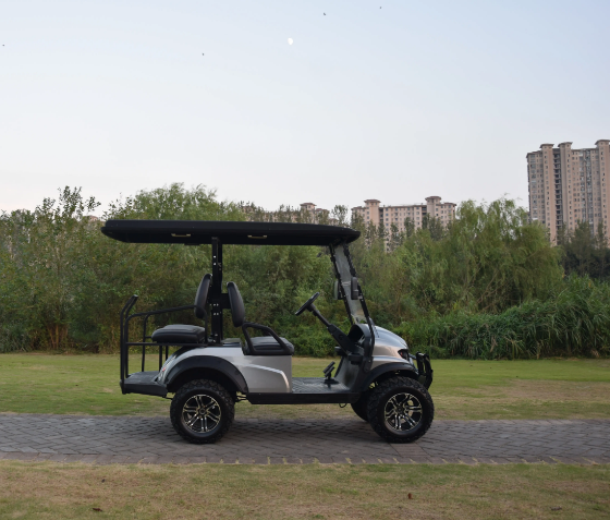 2+2 seaters Golf cart, type street legal-approved Electric Vehicles for low-speed travel - COOLBABY