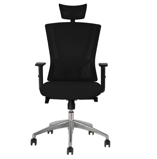 Office Executive Office High Back Chair | Mesh Back Rest | Aluminum Base with PU Arm Rest - COOLBABY