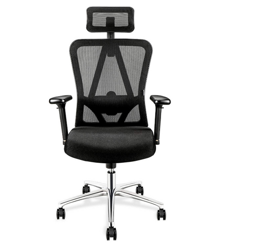 High Back Mesh Office Chair Ergonomic Chair, with Adjustable Headrest/Armrest and Lumbar Support - COOLBABY