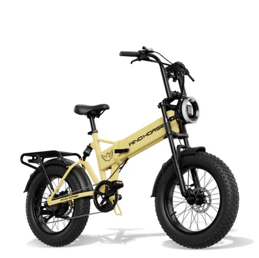 750W Smart E-Bike With Removable Battery And Fat Tires Design - COOLBABY