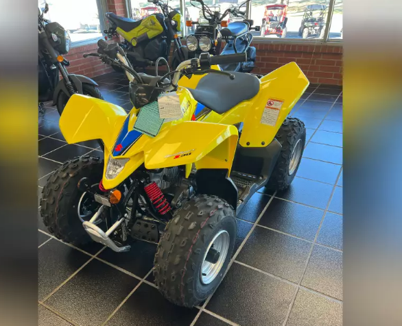 Suzuki QuadSport ATV For Adults And Kids, 4-stroke, air-cooled - COOLBABY