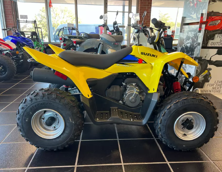 Suzuki QuadSport ATV For Adults And Kids, 4-stroke, air-cooled - COOLBABY