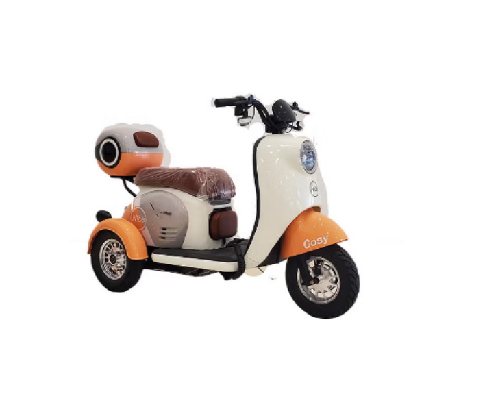 Ride On Scooter, Three Wheel Electric Scooter Lead Acid Battery - COOLBABY