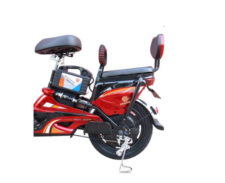 Electric Bike With Brushless Motor 350W - 48V 12Ah - COOLBABY