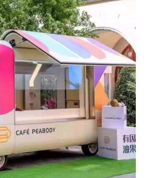 Mobile Kitchen Hot Dog, Pizza Cart, Food Truck BBQ - Coffee And Drinks With Fully Equipped - COOLBABY