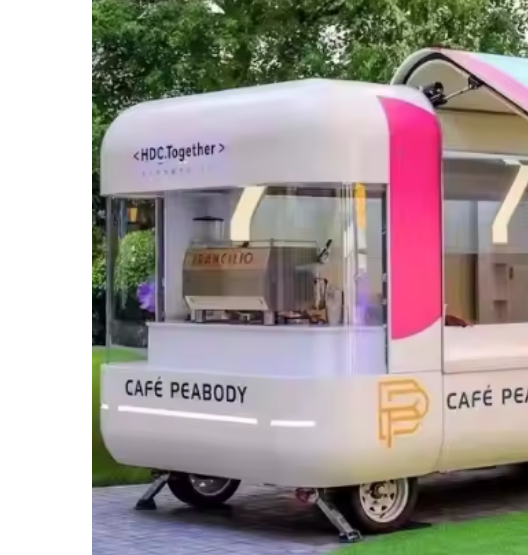 Mobile Kitchen Hot Dog, Pizza Cart, Food Truck BBQ - Coffee And Drinks With Fully Equipped - COOLBABY