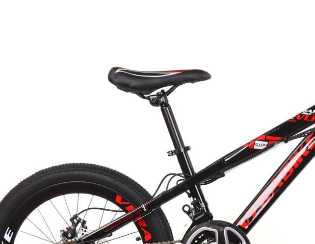 20 Inch 21 Speed Mountain Bike, Suspended Disc Brake, Bicycle Road Bike