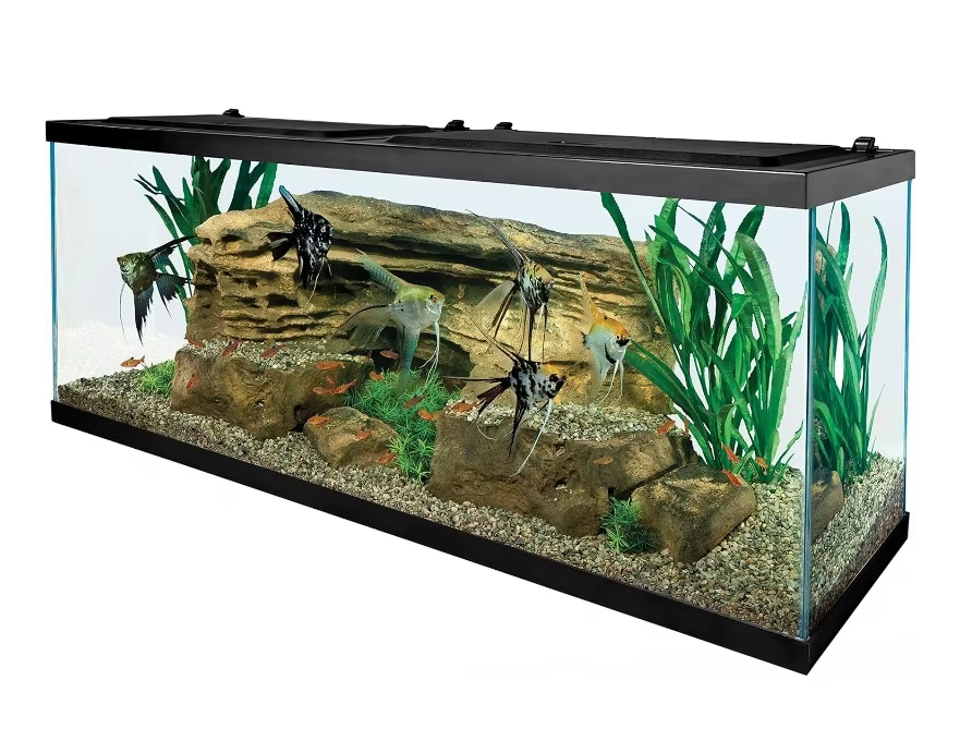 55 Gallon Aquarium Kit With Fish Tank, Fishes Net, Fish Food, Filter, Heater And Water Conditioners