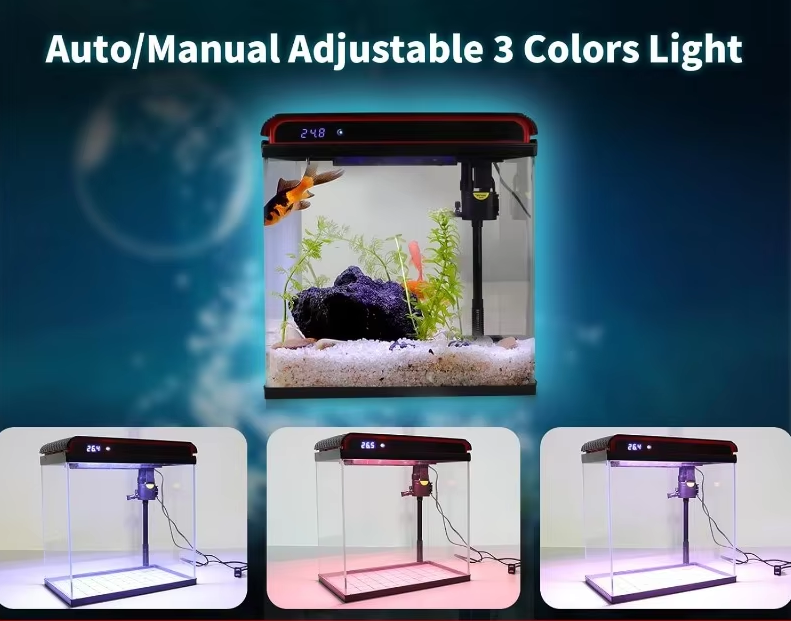 Fish Tank, 5 Gallon Glass Aquarium, With Filter And 3 LED Plant Lights And Water Temperature Detection System