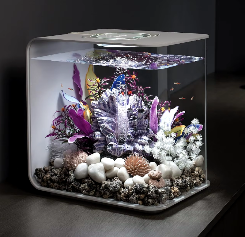 8-Gallon Aquarium With White LED Lights, Modern Tank For Tabletop Display White