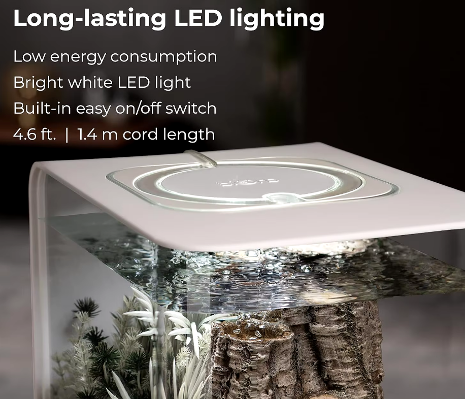 8-Gallon Aquarium With White LED Lights, Modern Tank For Tabletop Display White