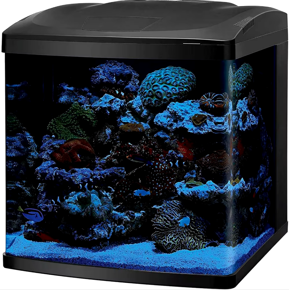 LED Aquarium Fish Tank Kit - 32 Gallon Black