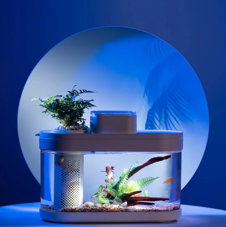 Smart Fish Tank, Ecological Advanced Aquarium Pro Wi-Fi Box Automatic Feeder, RGB Light for Home App