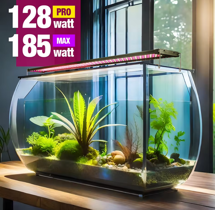 Aquatic Plants Light, Fresh Water / 155~173cm