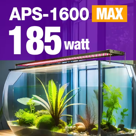 Aquatic Plants Light, Fresh Water / 155~173cm