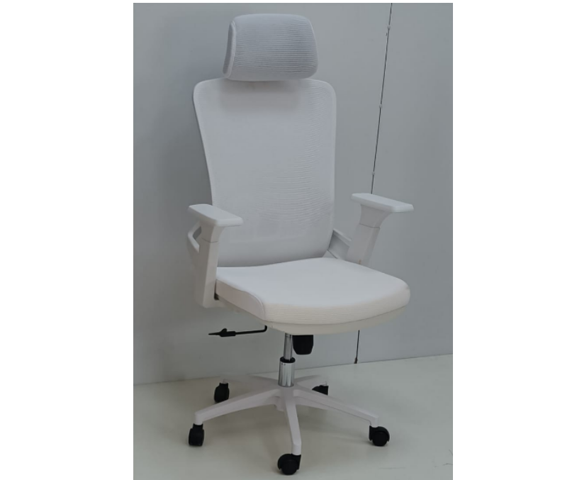 Ergonomic Mesh Office Chair with Lumbar Support, Modern Ergonomic Design For Office