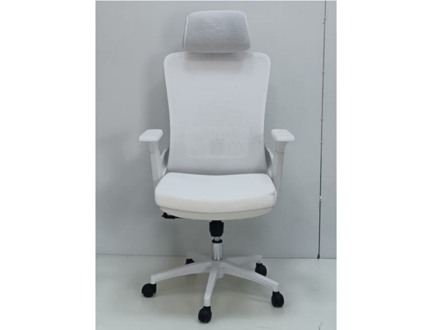 Ergonomic Mesh Office Chair with Lumbar Support, Modern Ergonomic Design For Office