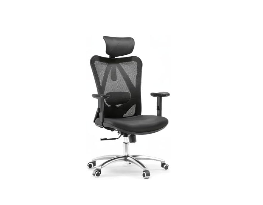 Ergonomic Office Chair, Computer High Back Desk Chair with 2D Armrest, Adjustable Headrest, Lumbar Support and Cushion