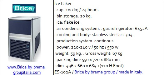 Brice ES-102A Commercial Ice Flaker 100KG/24H – Flake Ice Machine with 20KG Bin, R452A, Made in Italy