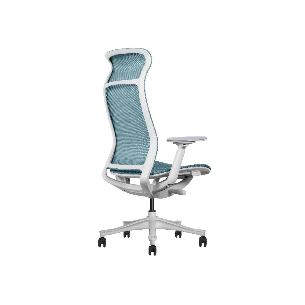 COOLBABY GIO Ergonomic Office Chair: Premium Comfort & Support for All-Day Productivity - COOLBABY