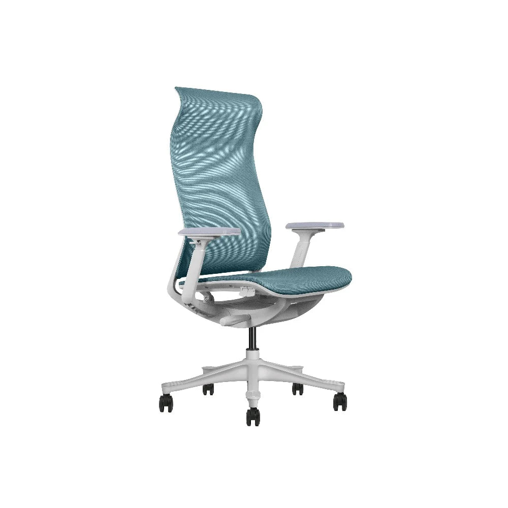 COOLBABY GIO Ergonomic Office Chair: Premium Comfort & Support for All-Day Productivity - COOLBABY