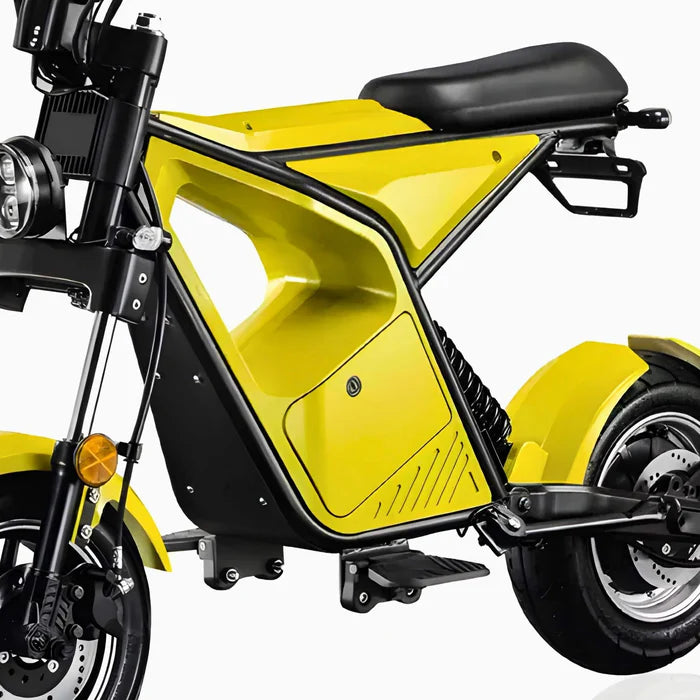 1000W Electric Scooter, Removable Lithium Battery - COOLBABY