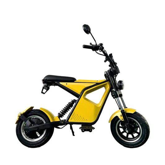 1000W Electric Scooter, Removable Lithium Battery - COOLBABY