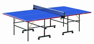 Table Tennis - Table Ping Pong, Table Foldable Indoor - COOLBABY