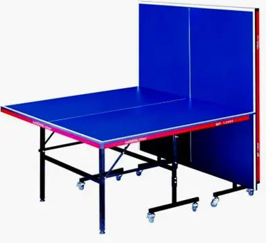 Table Tennis - Table Ping Pong, Table Foldable Indoor - COOLBABY