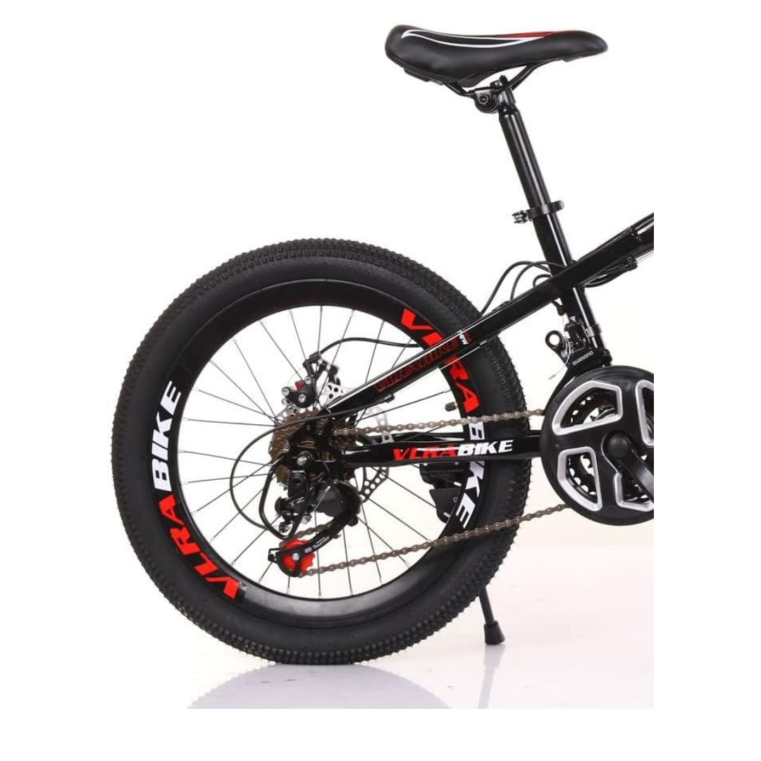 20 Inch 21 Speed Mountain Bike, Suspended Disc Brake, Bicycle Road Bike