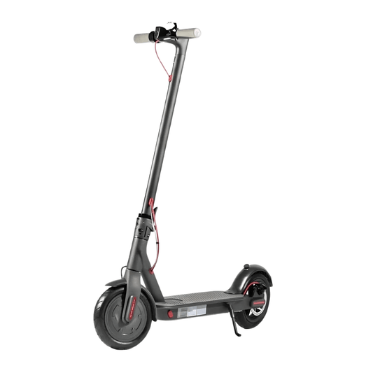 Winner Sky M365 Electric Scooter 250W Motor with Speeds up to 30 km/h - COOL BABY
