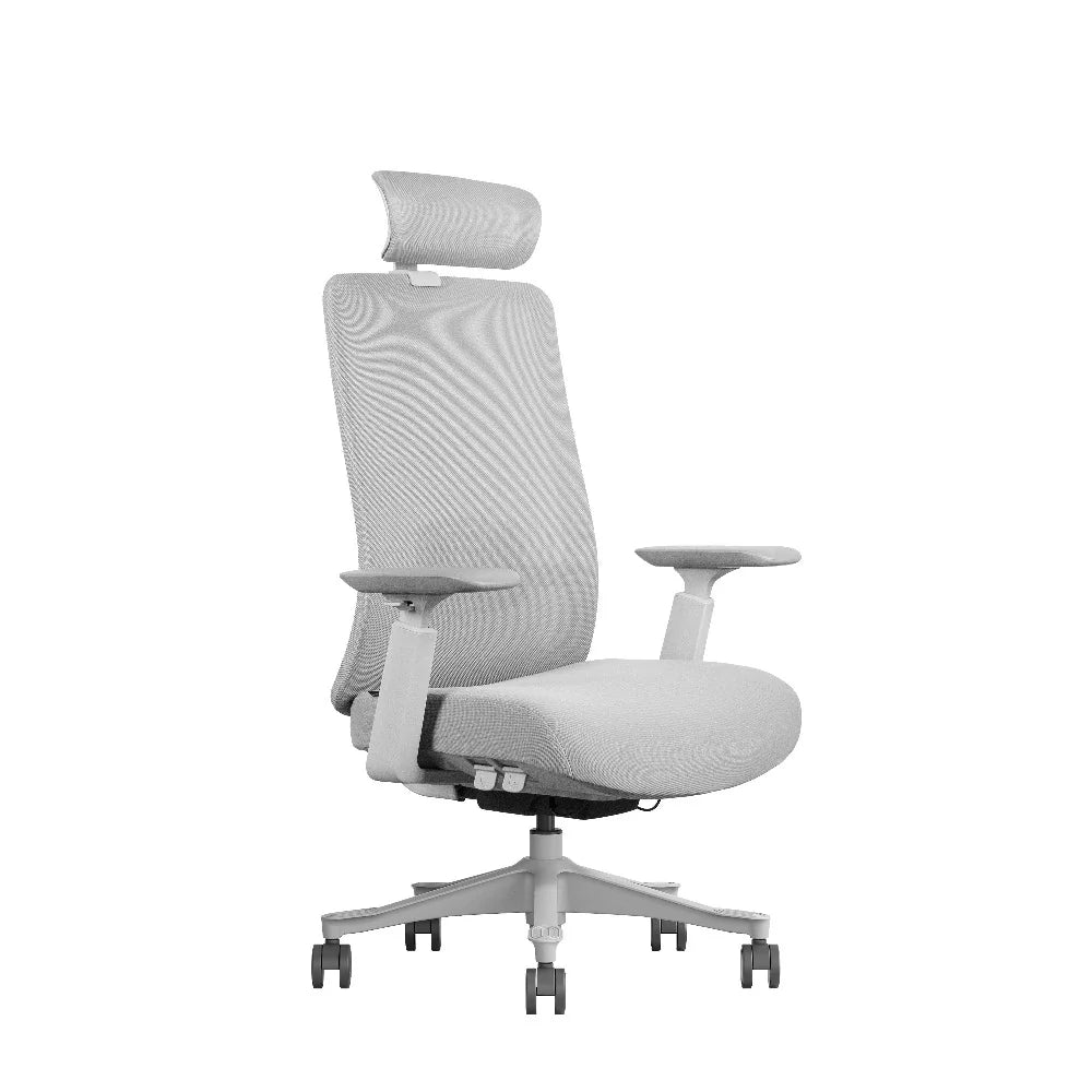 COOLBABY AKIRA Ergonomic Office Chair - Adjustable, BIFMA Certified, with Neck Support and 3D Armrests - COOLBABY